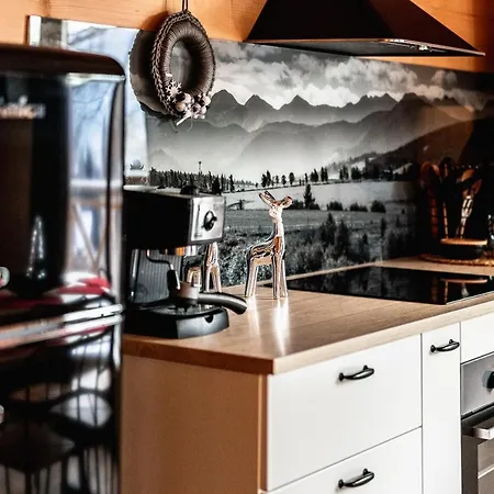 木屋 Litworowy Dom *